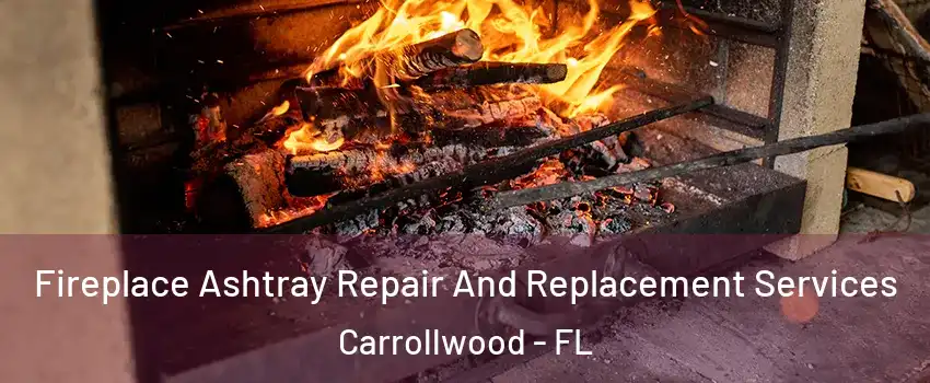  Fireplace Ashtray Repair And Replacement Services Carrollwood - FL