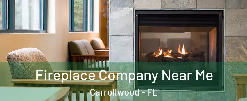  Fireplace Company Near Me Carrollwood - FL
