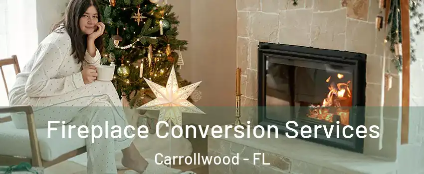  Fireplace Conversion Services Carrollwood - FL