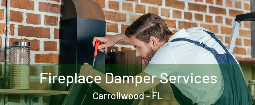  Fireplace Damper Services Carrollwood - FL