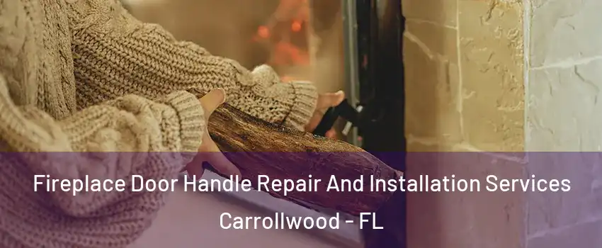  Fireplace Door Handle Repair And Installation Services Carrollwood - FL