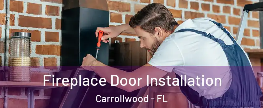  Fireplace Door Installation Carrollwood - FL