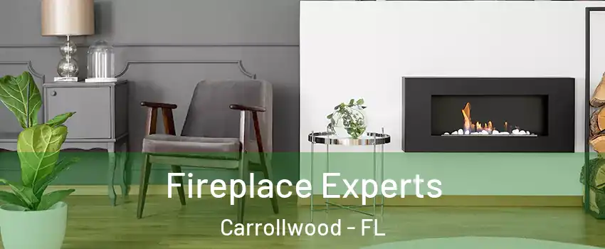  Fireplace Experts Carrollwood - FL