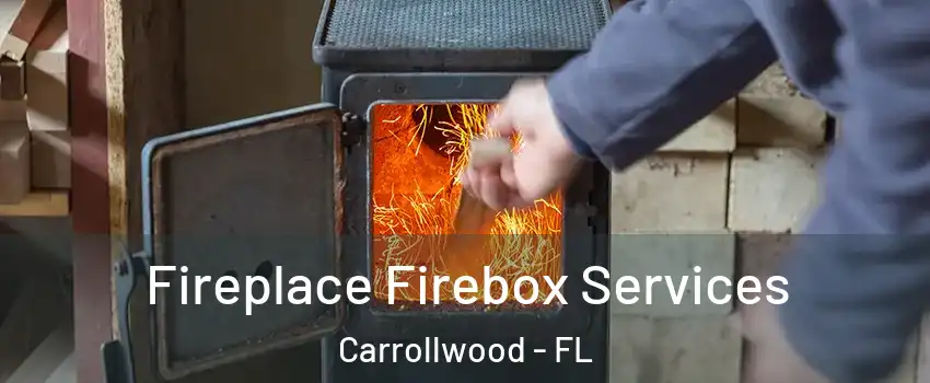 Fireplace Firebox Services Carrollwood - FL