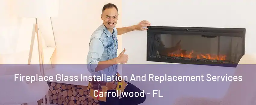 Fireplace Glass Installation And Replacement Services Carrollwood - FL