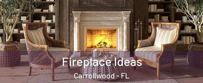  Fireplace Ideas Carrollwood - FL