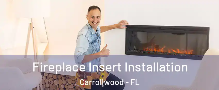  Fireplace Insert Installation Carrollwood - FL
