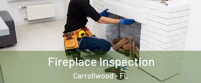  Fireplace Inspection Carrollwood - FL