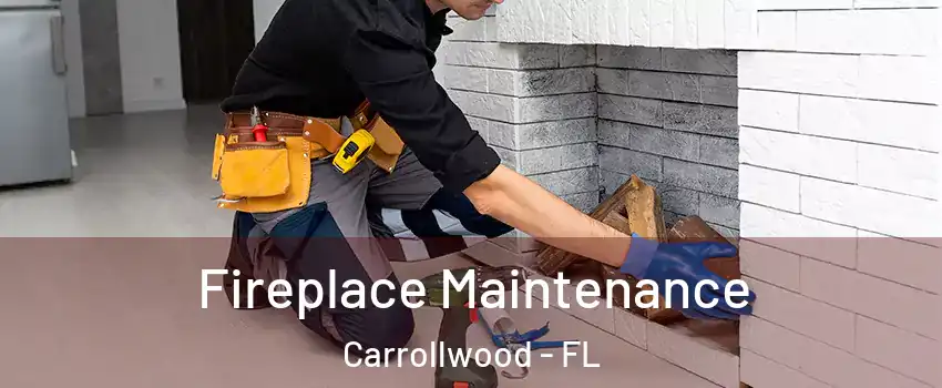  Fireplace Maintenance Carrollwood - FL