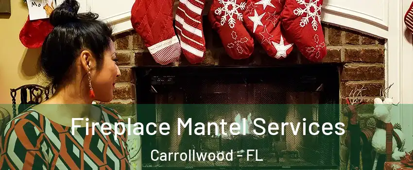  Fireplace Mantel Services Carrollwood - FL