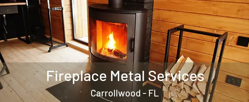 Fireplace Metal Services Carrollwood - FL