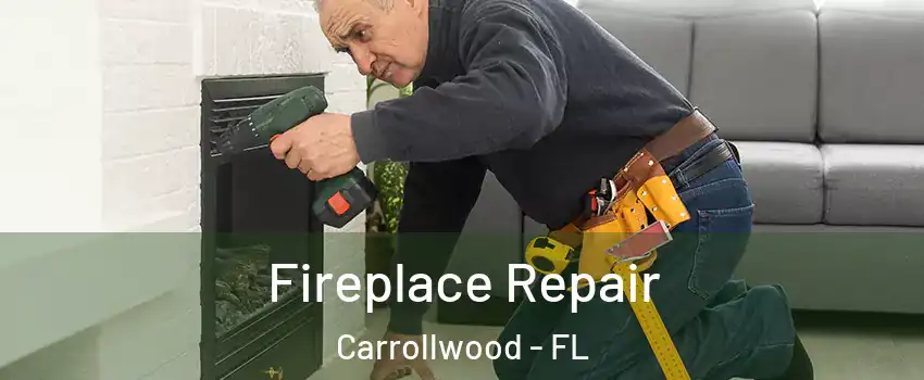  Fireplace Repair Carrollwood - FL