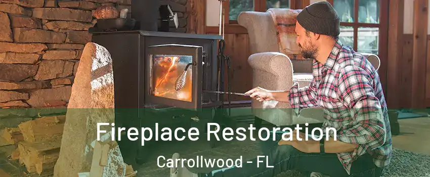  Fireplace Restoration Carrollwood - FL