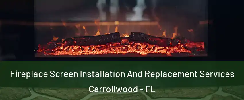  Fireplace Screen Installation And Replacement Services Carrollwood - FL