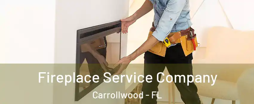  Fireplace Service Company Carrollwood - FL