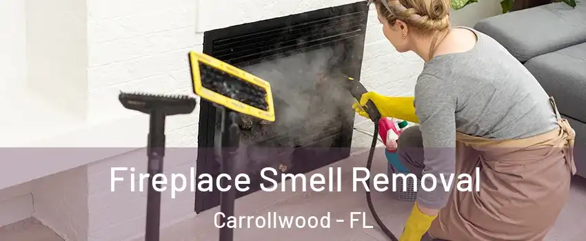  Fireplace Smell Removal Carrollwood - FL
