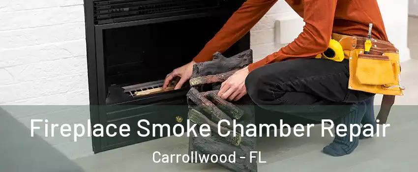  Fireplace Smoke Chamber Repair Carrollwood - FL