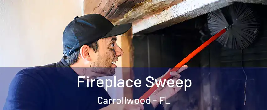  Fireplace Sweep Carrollwood - FL