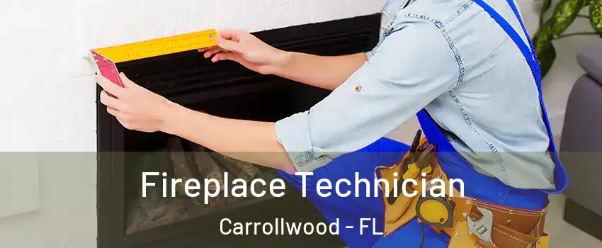  Fireplace Technician Carrollwood - FL