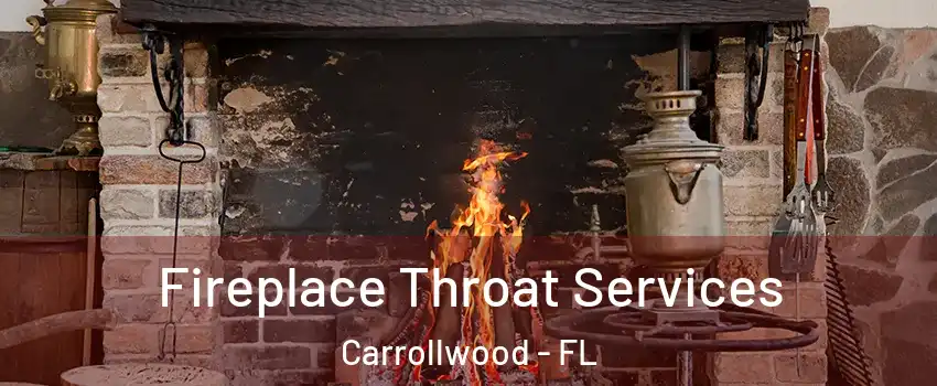  Fireplace Throat Services Carrollwood - FL