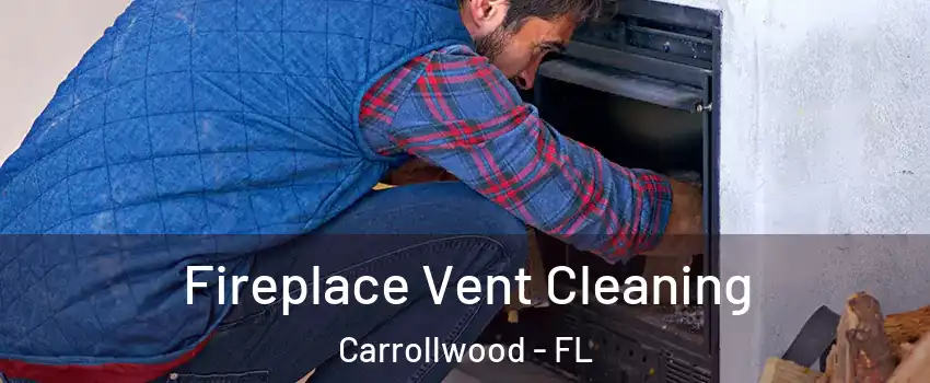  Fireplace Vent Cleaning Carrollwood - FL