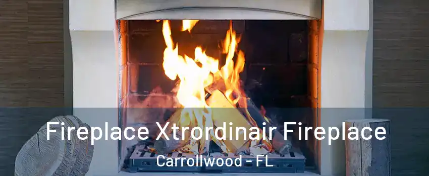  Fireplace Xtrordinair Fireplace Carrollwood - FL
