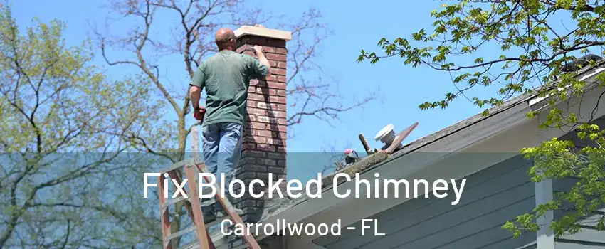  Fix Blocked Chimney Carrollwood - FL