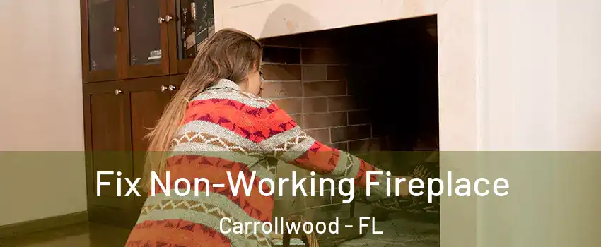  Fix Non-Working Fireplace Carrollwood - FL