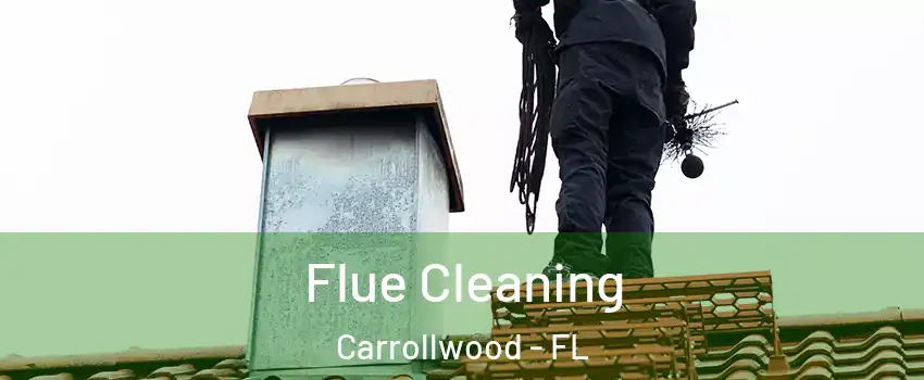  Flue Cleaning Carrollwood - FL