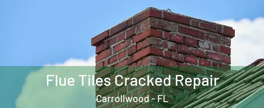  Flue Tiles Cracked Repair Carrollwood - FL