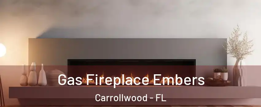  Gas Fireplace Embers Carrollwood - FL
