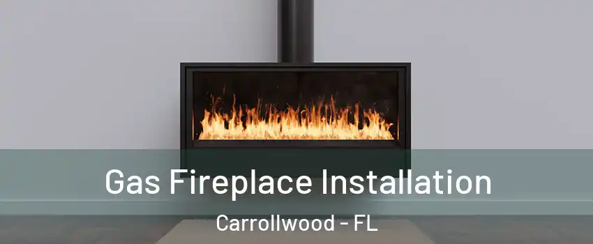  Gas Fireplace Installation Carrollwood - FL