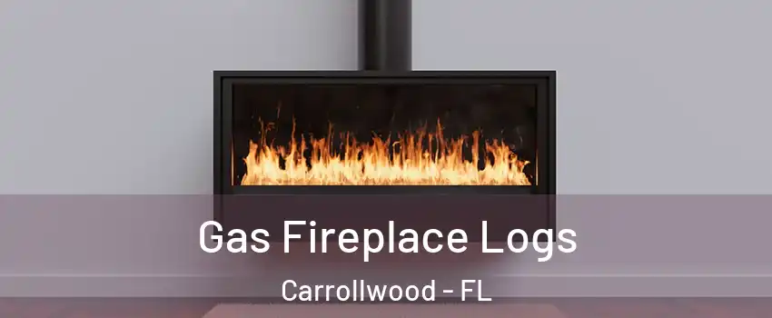  Gas Fireplace Logs Carrollwood - FL