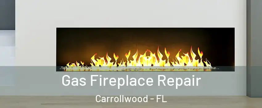  Gas Fireplace Repair Carrollwood - FL