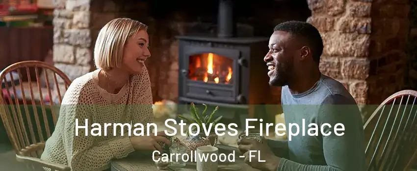  Harman Stoves Fireplace Carrollwood - FL