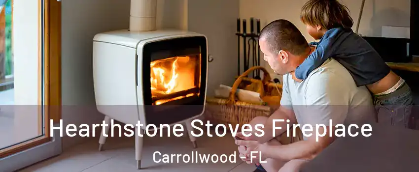  Hearthstone Stoves Fireplace Carrollwood - FL