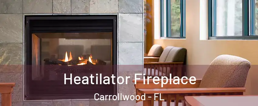  Heatilator Fireplace Carrollwood - FL