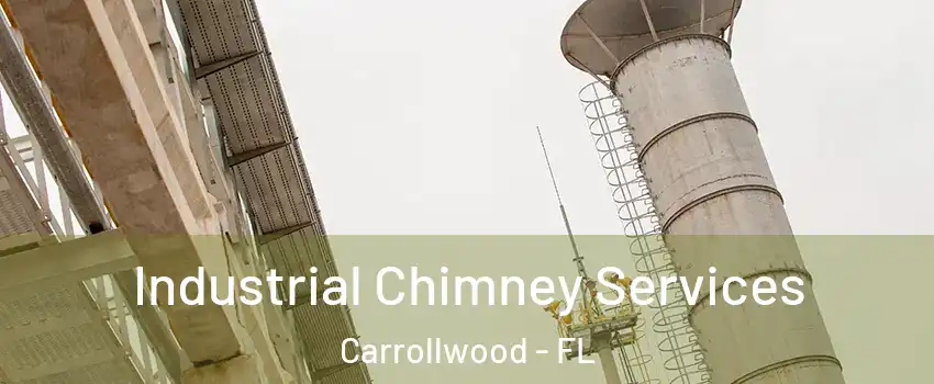  Industrial Chimney Services Carrollwood - FL