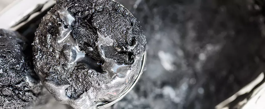 Clogged Dryer Vent Lint Cleaning in Carrollwood, Florida
