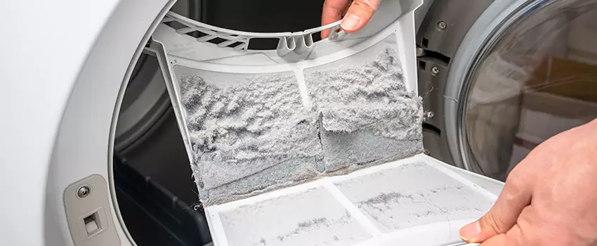 Best Dryer Lint Removal Company in Carrollwood, Florida