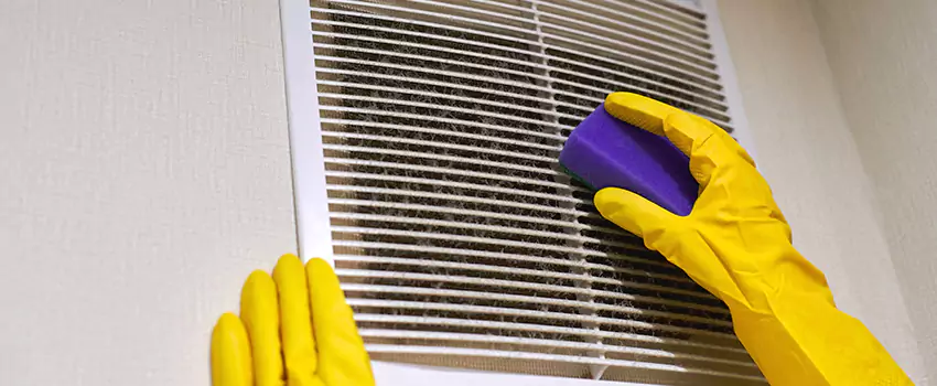 Vent Cleaning Company in Carrollwood, FL