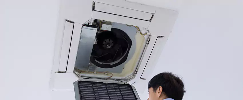 Benefits of Professional Air Duct Cleaning in Carrollwood, Florida