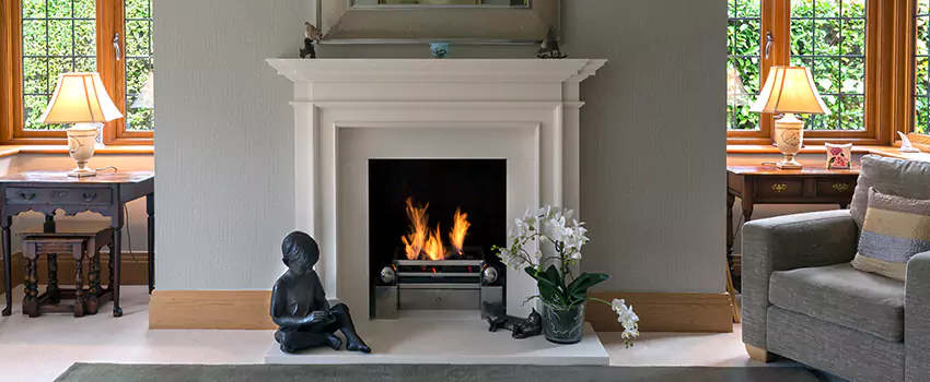 Astria Open-Hearth Wood Fireplaces Services in Carrollwood, FL