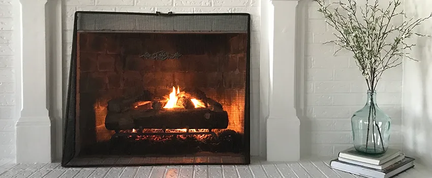 Cost-Effective Fireplace Mantel Inspection And Maintenance in Carrollwood, FL