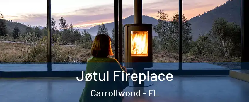  Jøtul Fireplace Carrollwood - FL