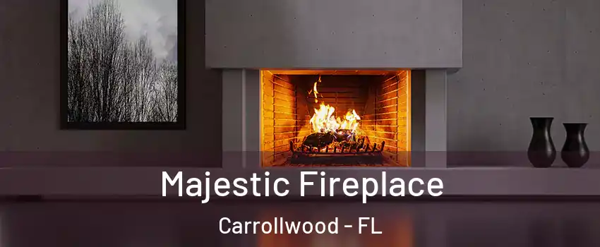  Majestic Fireplace Carrollwood - FL