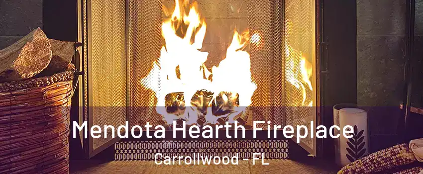  Mendota Hearth Fireplace Carrollwood - FL