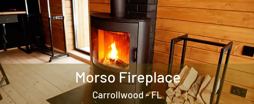  Morso Fireplace Carrollwood - FL