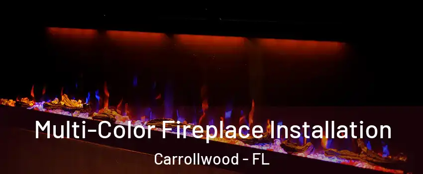  Multi-Color Fireplace Installation Carrollwood - FL