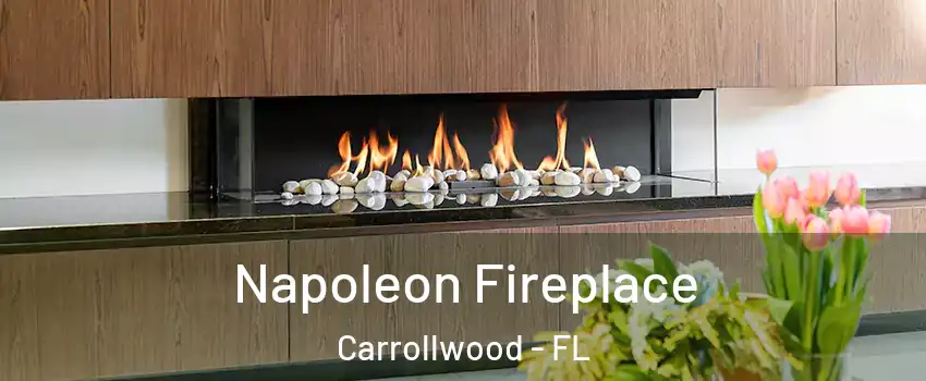  Napoleon Fireplace Carrollwood - FL